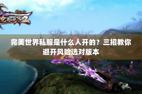 完美世界私服是什么人开的？三招教你避开风险选对版本