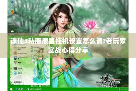 诛仙3私服辰皇挂机设置怎么调?老玩家实战心得分享