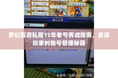 梦幻西游私服15年老号养成指南，资深玩家的账号管理秘籍