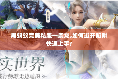 黑蚂蚁完美私服一条龙,如何避开陷阱快速上手?