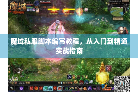 魔域私服脚本编写教程，从入门到精通实战指南