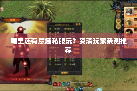 哪里还有魔域私服玩？资深玩家亲测推荐