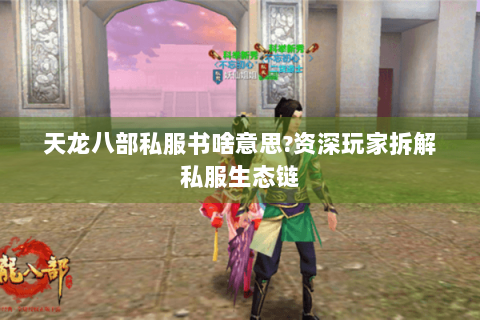 天龙八部私服书啥意思?资深玩家拆解私服生态链