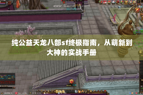 纯公益天龙八部sf终极指南，从萌新到大神的实战手册