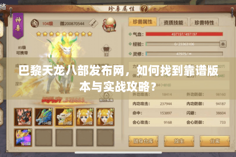 巴黎天龙八部发布网，如何找到靠谱版本与实战攻略？