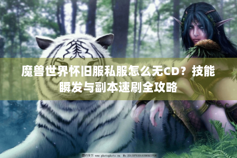 魔兽世界怀旧服私服怎么无CD？技能瞬发与副本速刷全攻略