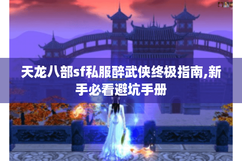 天龙八部sf私服醉武侠终极指南,新手必看避坑手册