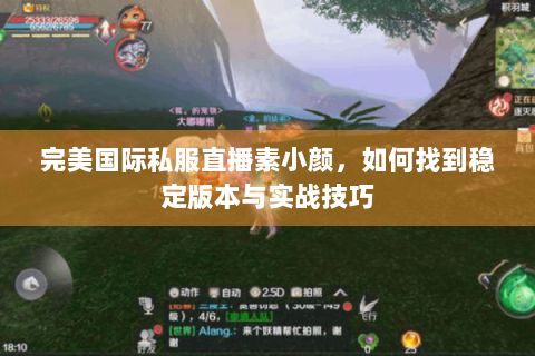 完美国际私服直播素小颜，如何找到稳定版本与实战技巧