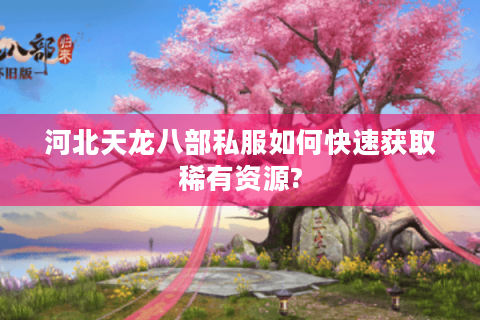 河北天龙八部私服如何快速获取稀有资源?