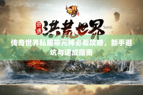 传奇世界私服带元神必看攻略，新手避坑与速成指南