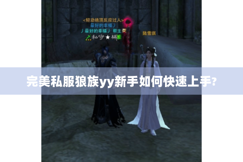 完美私服狼族yy新手如何快速上手?