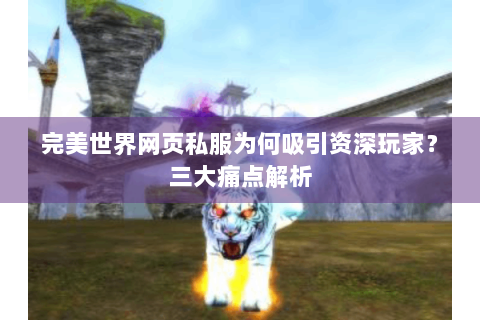 完美世界网页私服为何吸引资深玩家？三大痛点解析