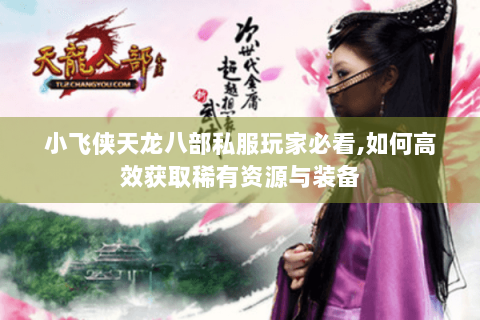 小飞侠天龙八部私服玩家必看,如何高效获取稀有资源与装备
