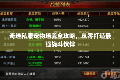 奇迹私服宠物培养全攻略，从零打造最强战斗伙伴