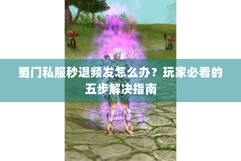 蜀门私服秒退频发怎么办？玩家必看的五步解决指南