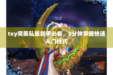 txy完美私服新手必看，3分钟掌握快速入门技巧