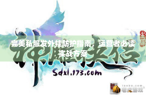 完美私服发外挂防护指南，运营者必读实战方案
