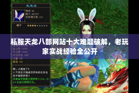 私服天龙八部网站十大难题破解，老玩家实战经验全公开