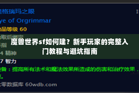 魔兽世界sf如何建？新手玩家的完整入门教程与避坑指南