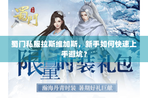 蜀门私服拉斯维加斯，新手如何快速上手避坑？