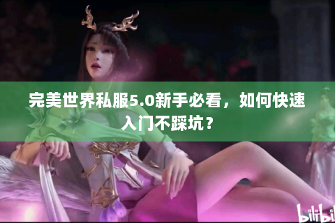 完美世界私服5.0新手必看，如何快速入门不踩坑？