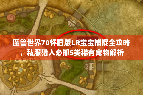 魔兽世界70怀旧版LR宝宝捕捉全攻略，私服猎人必抓5类稀有宠物解析