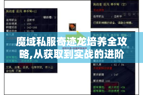 魔域私服奇迹龙培养全攻略,从获取到实战的进阶指南