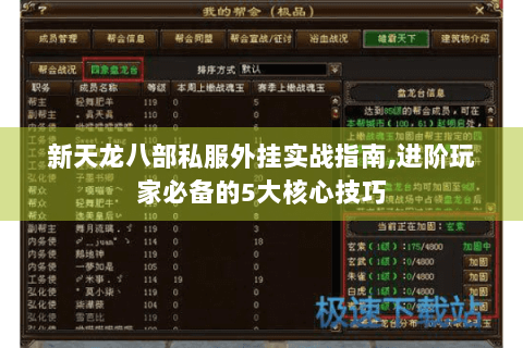 新天龙八部私服外挂实战指南,进阶玩家必备的5大核心技巧