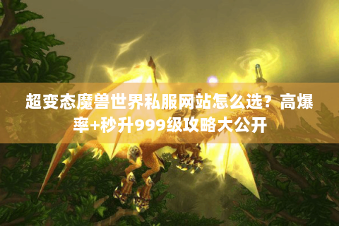 超变态魔兽世界私服网站怎么选？高爆率+秒升999级攻略大公开