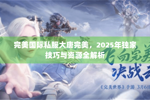 完美国际私服大唐完美，2025年独家技巧与资源全解析