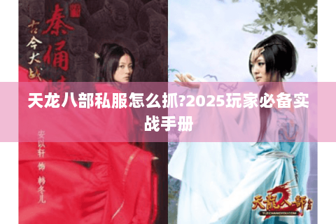 天龙八部私服怎么抓?2025玩家必备实战手册