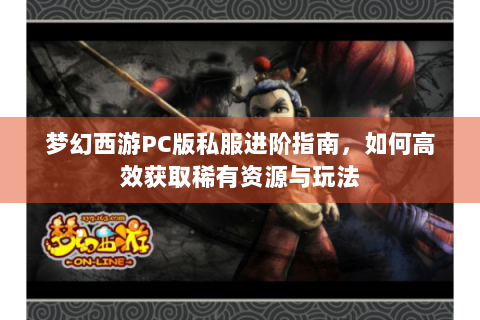 梦幻西游PC版私服进阶指南，如何高效获取稀有资源与玩法