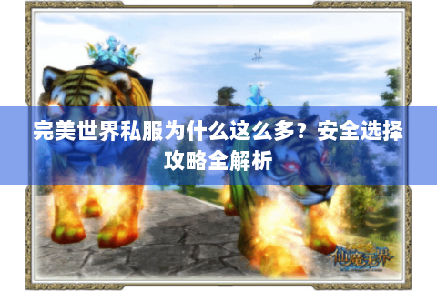 完美世界私服为什么这么多？安全选择攻略全解析