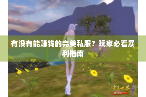 有没有能赚钱的完美私服？玩家必看暴利指南