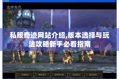 私服奇迹网站介绍,版本选择与玩法攻略新手必看指南