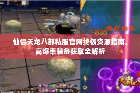 仙侣天龙八部私服官网终极资源指南,高爆率装备获取全解析