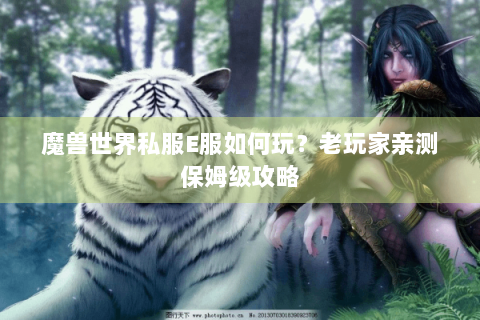 魔兽世界私服E服如何玩？老玩家亲测保姆级攻略