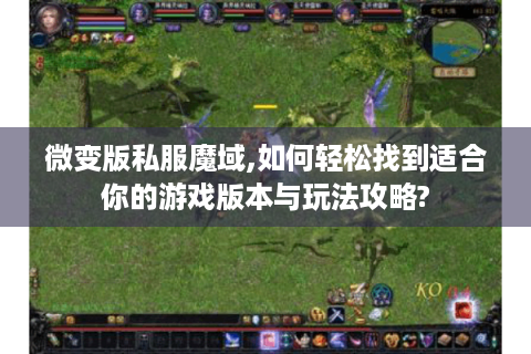 微变版私服魔域,如何轻松找到适合你的游戏版本与玩法攻略?