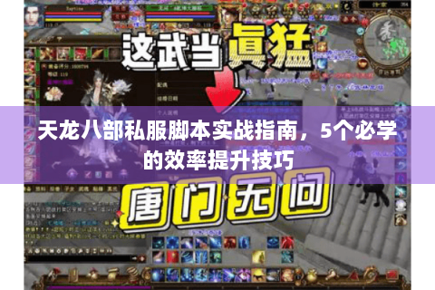 天龙八部私服脚本实战指南，5个必学的效率提升技巧