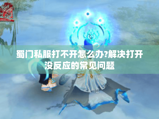 蜀门私服打不开怎么办?解决打开没反应的常见问题