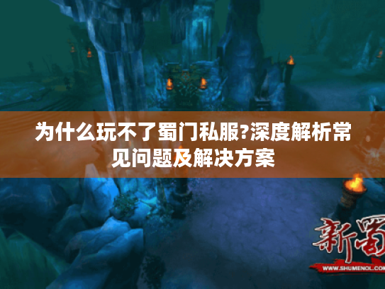 为什么玩不了蜀门私服?深度解析常见问题及解决方案