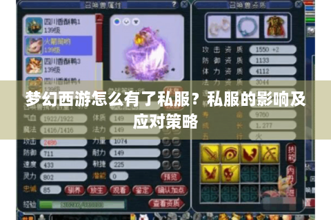 梦幻西游怎么有了私服？私服的影响及应对策略