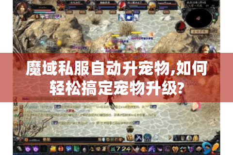 魔域私服自动升宠物,如何轻松搞定宠物升级?