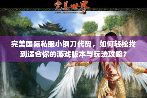 完美国际私服小钢刀代码，如何轻松找到适合你的游戏版本与玩法攻略？