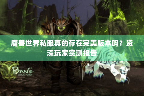 魔兽世界私服真的存在完美版本吗？资深玩家实测报告