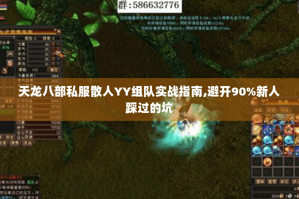 天龙八部私服散人YY组队实战指南,避开90%新人踩过的坑