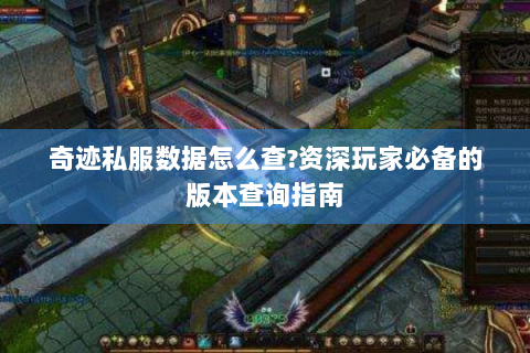 奇迹私服数据怎么查?资深玩家必备的版本查询指南