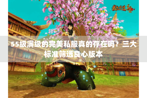 55级满级的完美私服真的存在吗？三大标准筛选良心版本