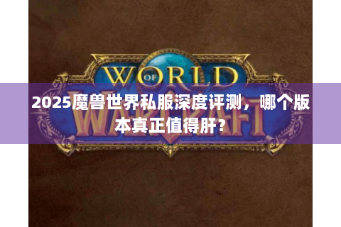 2025魔兽世界私服深度评测，哪个版本真正值得肝？