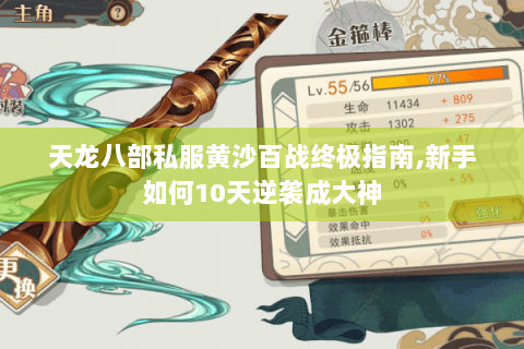 天龙八部私服黄沙百战终极指南,新手如何10天逆袭成大神
